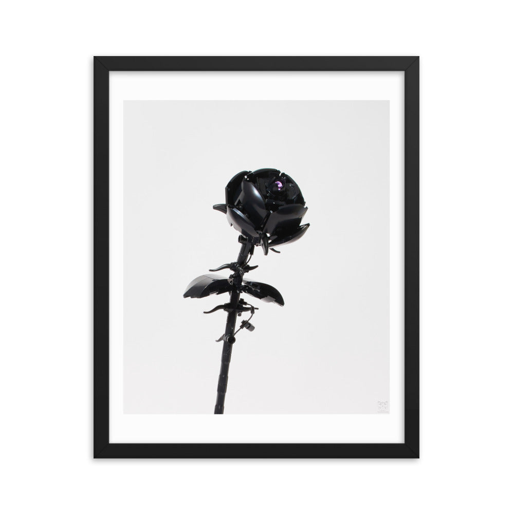 Black Rose - brickdistorted Print