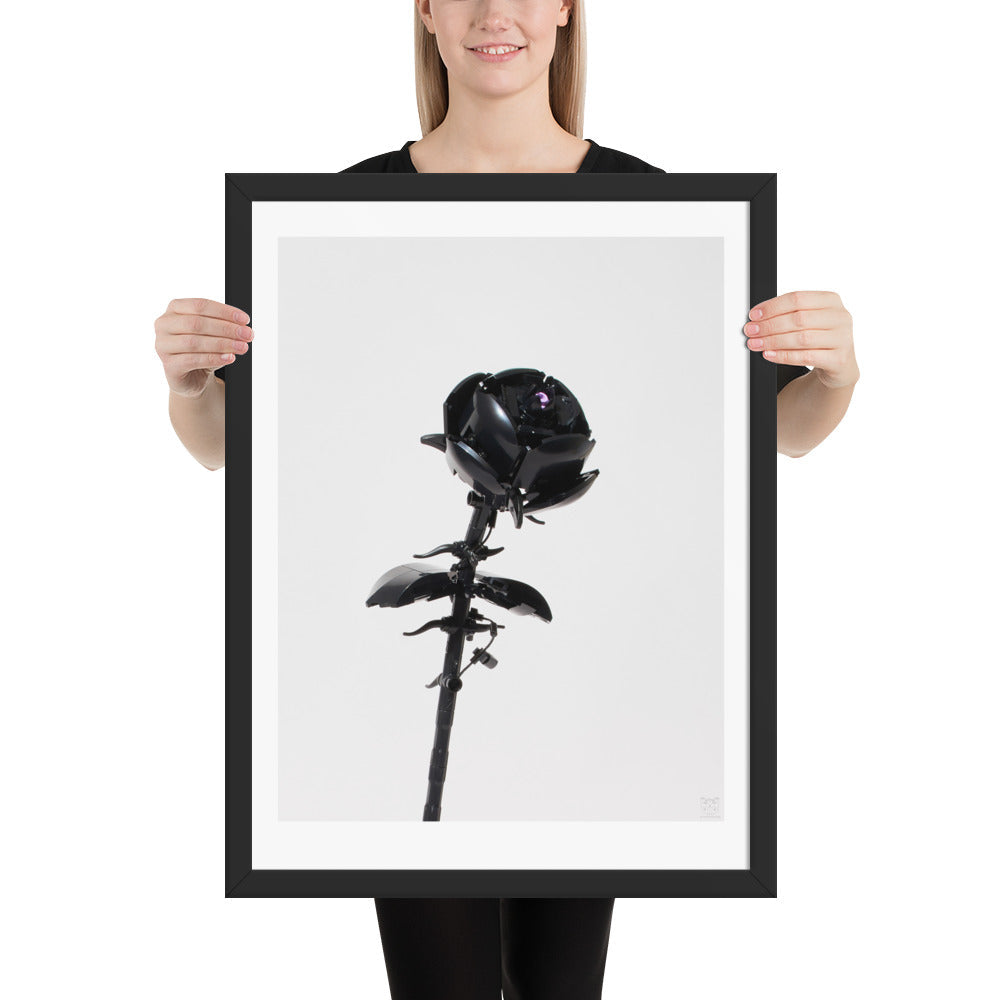 Black Rose - brickdistorted Print