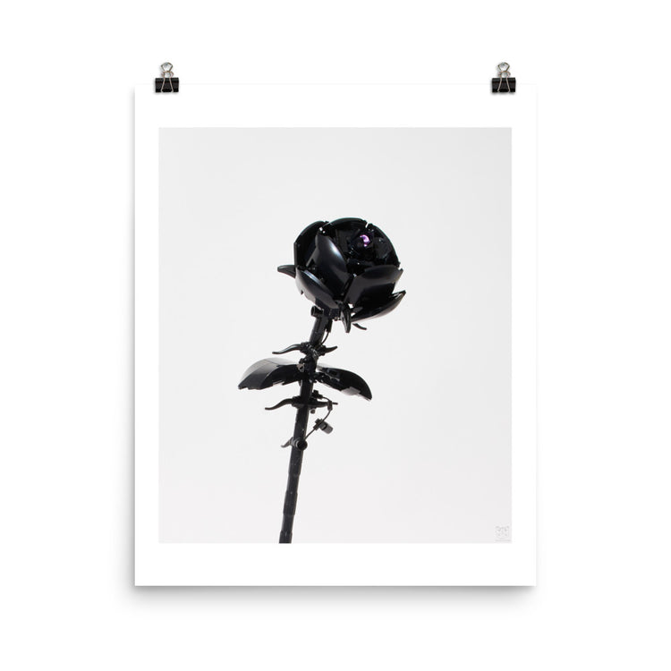 Black Rose
