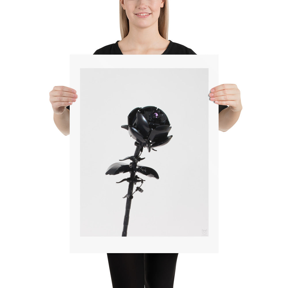 Black Rose