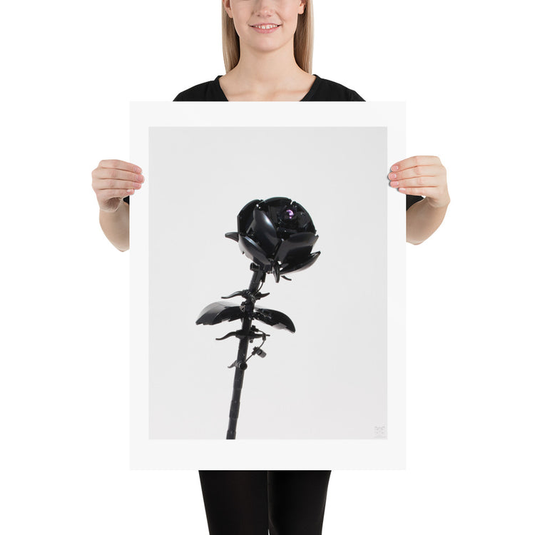 Black Rose